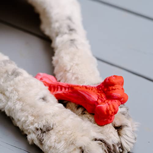 E-Snap, Dog Toys, 5-Piece Set, Dog Toy Bundle, High End Chew Toys, All Natural And Safe Chew Toys, Great Value Set, Luxury Dog Accessories Hand-Picked From Top Manufacturers. #TOP4