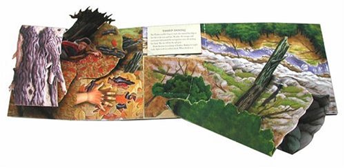 The Girl Who Loved Tom Gordon: A Pop-up Book