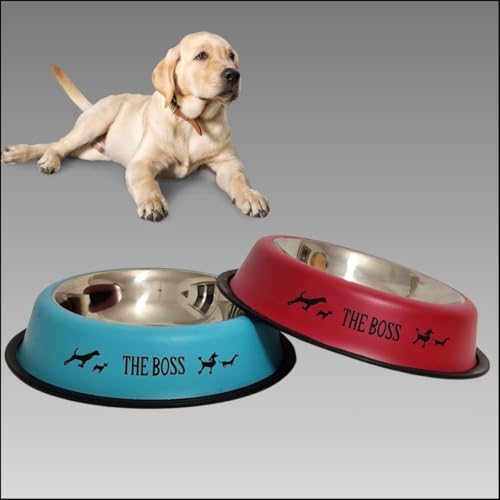 CIIN Pack 2 Comederos para Perros Azul y Rojo - Comedero Perro Grande 30 cm Base y 22 cm Boca - Cuenco Perro Acero Inoxidable y Antideslizante con Base de Goma - Comedero Robusto, Capacidad 1550 ml