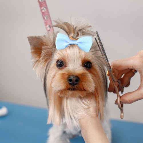 Bremorou 40 Stück Haarschleifen für Hunde Hunde Zopfgummis Hundehaarschleifen Haarband Yorkshire Schleife Gummibänder Haarschmuck Mit Gummibändern Haarschleifen für Kleine Katzen Welpen Haustiere