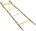 AmazonBasics Agility Ladder