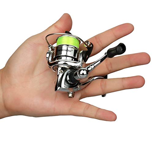 Greenwoodhomer - Mulinello portatile in lega di