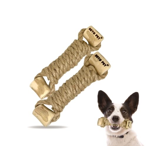 BETO PET ނ _x mߋ R[q[̖   XgX Y 100%i` VR R[q[Ebh wv xgiY ^E^ CC02i (2{, M)