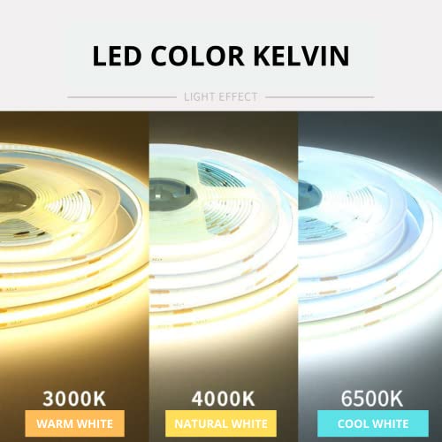 NUOVA GERMANY 5 Metri Strip LED COB 24V CRI 95>