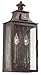 Troy BCD9008OBZ Newton Traditional Outdoor 2 Light Wall Sconce - 8.75 inches wide