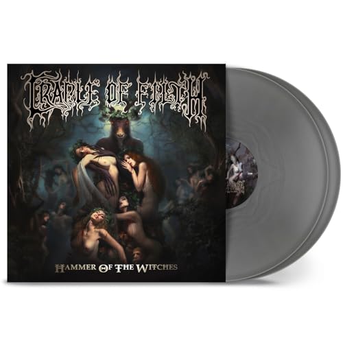 Hammer Of The Witches (SILVER VINYL) [Vinilo]