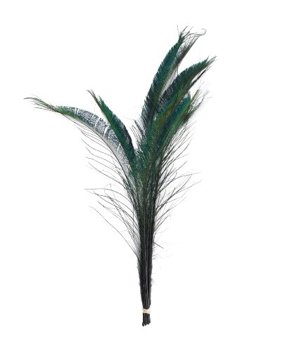 ZUCKER Feather Products B460-10-BL Feathers, 20 to 25-Inch, Black