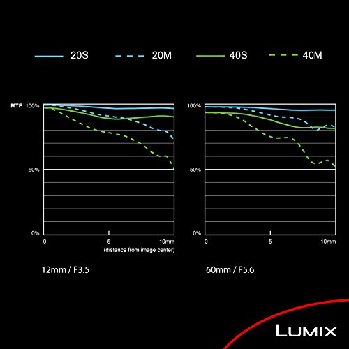 Panasonic Lumix G Objektiv, 25 mm, F1.7 ASPH., spiegellose Micro Four Thirds, h-h025 K (USA schwarz)