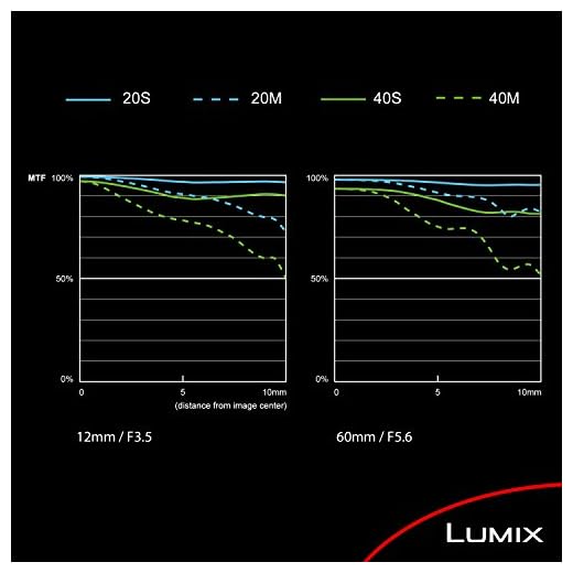 Panasonic Lumix G Vario 12-60mm Lens