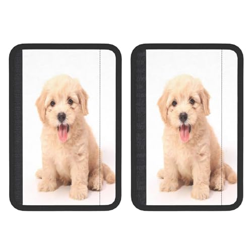 [Gahgnj] 2pbN̎ԗV[gJo[SV_[xg - \tgV_[pbhAKȉ^]AlƎqɍœKAtȒPA͂yi킢S[fgo[̐ԂɏF̌v[h̎qj