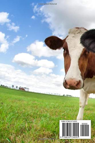 Cow Notebook: Small lined Cow notebook - Travel Journal to write in - 120 pages - 6"x9", White - Image 2