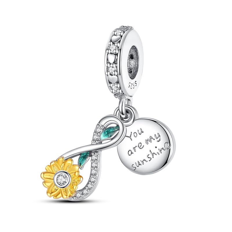 Abalorio de plata de ley 925 de feliz cumpleaños ideal como regalo emotivo para madre e hija
