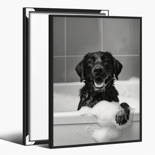 Black and White Labrador in Bathtub Wall Art Poster Retro