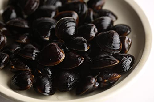 大和しじみ 特特 茨城県産 約2ｋ