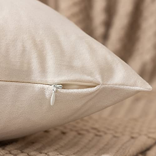 Etasop Pack Of 4 Velvet Pillow Covers, Soft Throw Pillow Cases 18 X 18 Couch Pillows For Home Decor (18×18, Cream White) #TOP5