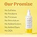 SKOUT'S HONOR Cat Probiotic Deodorizer Spray- Hydrating Daily-Use with Avocado Oil and Omega-3s, Paraben & Sulfate-Free, 97% Natural,Beyond Basic Grooming - 8oz, Honeysuckle