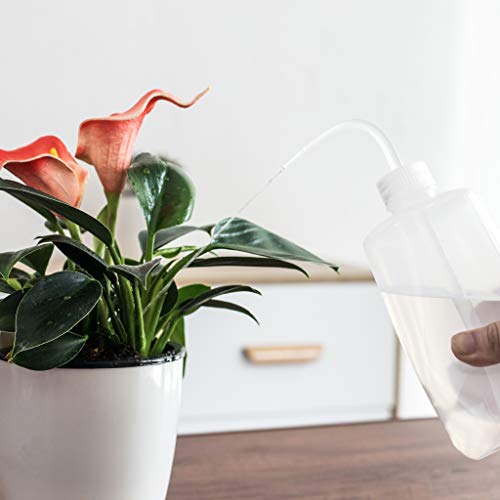 Opiniones y reviews de Plantas suculentas precio los más recomendados. 15 Imagen adicional