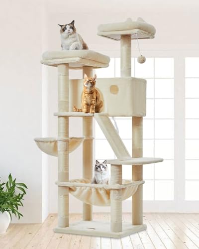 Taoqimiao Arbre a Chat, 146cm Stable Arbre a Chat Maine Coon avec Condos Spacieux pour Chats, 8 Griffers, 2 Plateformes, Panier pour Matou, Confortable Hamac,...