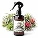 Cute Farms Tillandsia Air Plant Fertilizer | Gentle Weekly Use Formula Plant Food (8 oz. Spray Bottle)