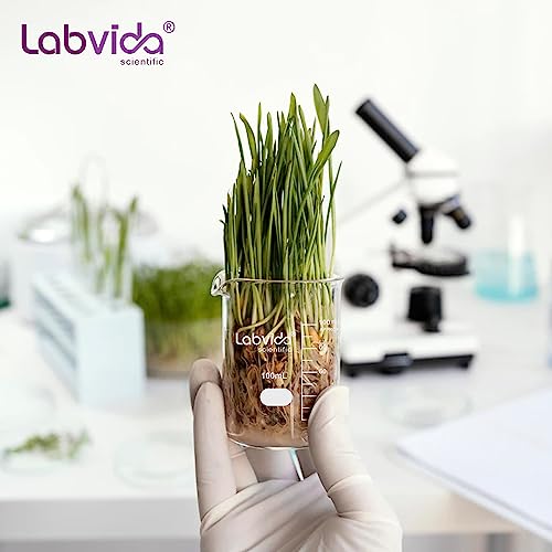 Labvida 12Pcs Of Griffin Low Form Glass Beakers, Vol.150Ml, 3.3 Borosilicate With Printed Graduation, Lva007 #TOP4