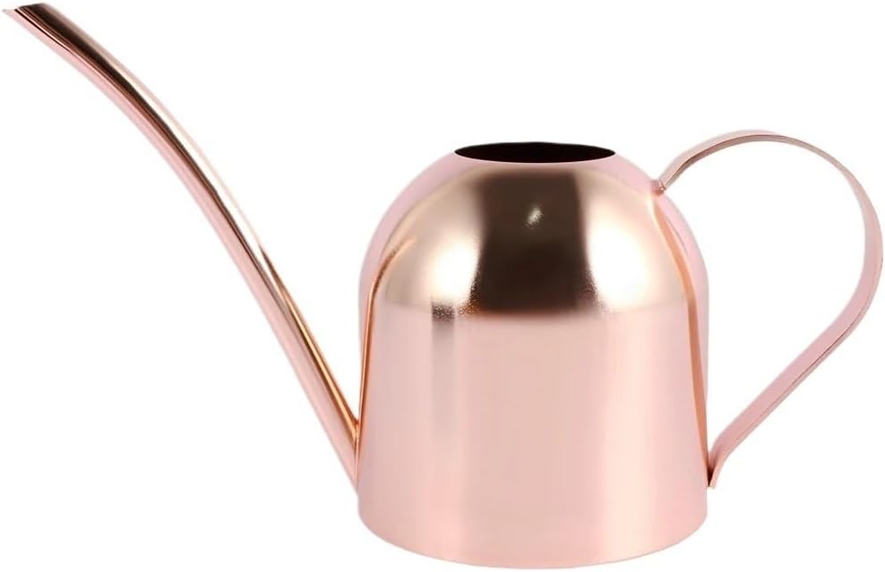 Stainless Steel Watering Can Lightweight Nozzle Type Small Watering Can Stainless Steel Garden Plant Sprinkler Outdoor Watering Can Indoor And Outdoor Plant Watering Tool For Garden And Plant Watering
