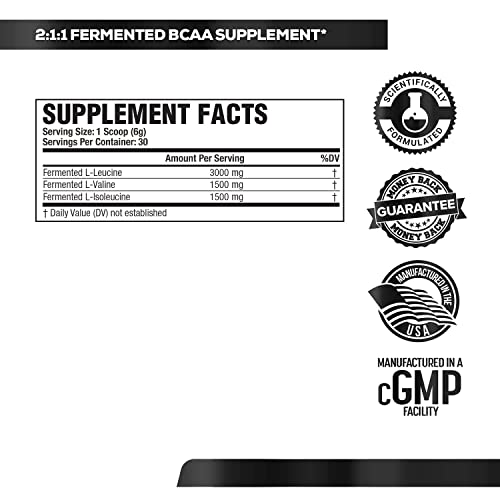 Jacked Factory Creatine Monohydrate Powder & Bcaa Powder Unflavored #TOP6