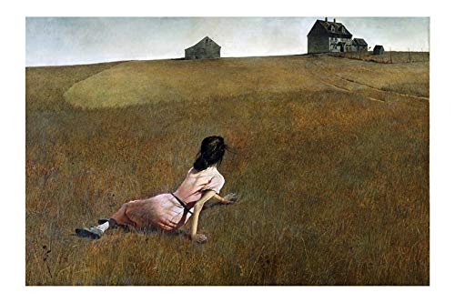 Tableau Christina's World Andrew Wyeth encadré de qualité musée