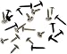 Dorman 02406 Trim Screw Assortment