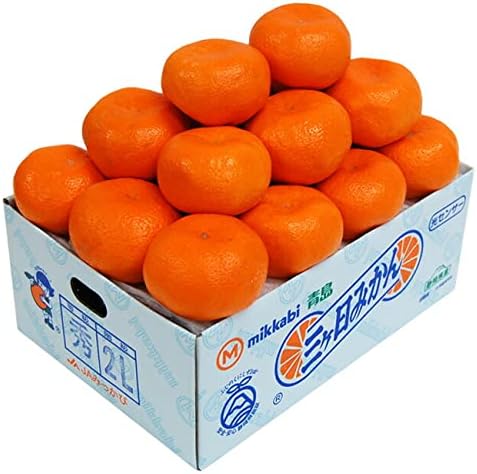 糖度12度 ＪＡみっかび 三ケ日青島みかん【秀品】2Lサイズ3.5キロ(20個前後)(三ヶ日みかん)