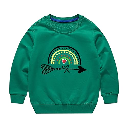Toddler Boys Girls Sweater Autumn/Winter Rainbow Print Long Sleeve Round Neck Hatless Sweater Party (Green, 13-14 Years)