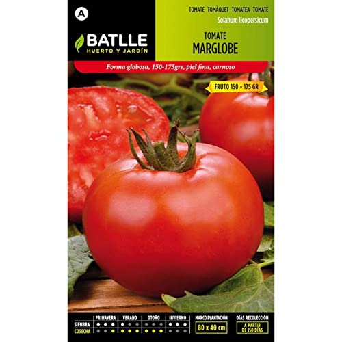 Semillas Batlle Tomate MARGLOBE