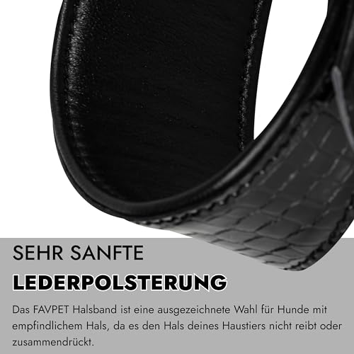FAVPET Luxus Echtleder Windhund Halsband Breit mit QR Code Anhänger, Weiches Lederhalsband Hund Breit Whippet Italienisches Windspiel Saluki Lurcher Spanischer Galgo Greyhound Podenco (Schwarz, XS)