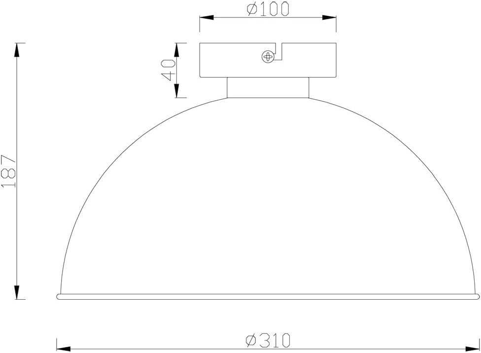 Technical drawing with dimensions of the RL LIVE YOUR LIGHT Reality E27 Ceiling Light, showing a diameter of 310mm and height of 187mm.