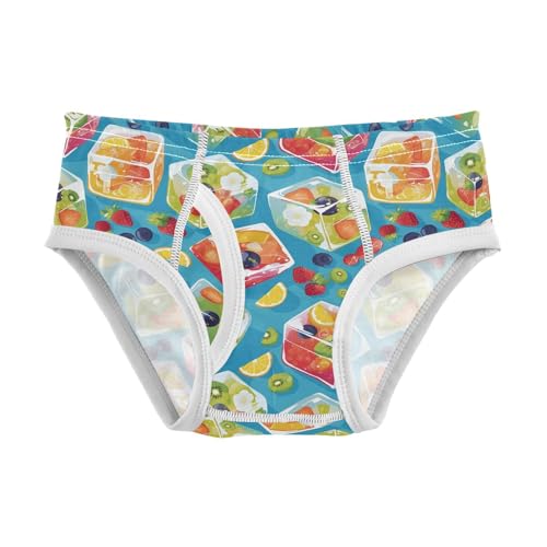 visesunny Boys Cotton Underwear Fruit Juice Ice Cube Printed Toddler Soft Training Briefs Size 2T-8Y for Kids
