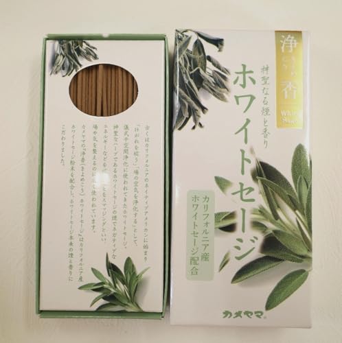 y  zCgZ[W z 174{ 70g   CZX  | tbV Zbg K ґz d ׋   A} n[u {  ~ tOX  bNX XeBbN  C]