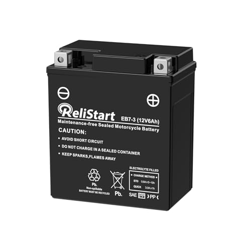 Relistart 12V 6AH Battery, Rechargeable Maintenance Free SLA AGM Motorcycle Battery