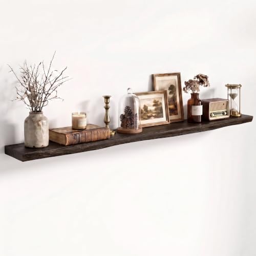 Image of Fun Memories 55 inch Elm Wood Floating Shelves for Wall, Walnut Finish, 1 Pack
