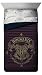 Jay Franco Harry Potter Spellbound Twin/Full Comforter - Super Soft Kids Reversible Bedding Features Hogwarts - Fade Resistant with Gold Foil (Official Warner Brothers Product)