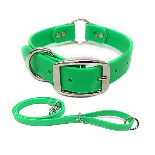 Best Waterproof Dog Collars in 2022 Buyer’s Guide Seaside