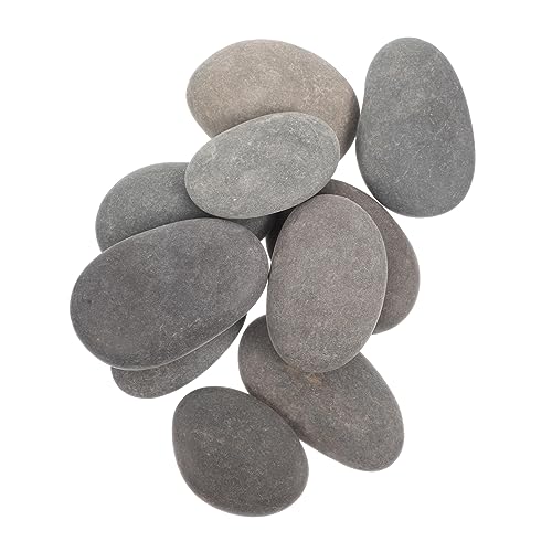 HOOTNEE Diy Craft Rocks 10pcs Paint Rocks for Kids Graffiti Rocks Smooth Stones for Creative Art Projects