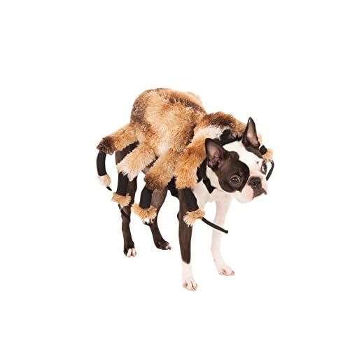 Disfraz Oficial de Rubie'S para Mascota, Gigante, para Halloween