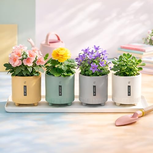 Image of Xtore Elegant Ribbed Ceramic Planter Set for Indoor Plants | Modern Minimal Desk & Shelf Pots with Raised Base (Pack of 4, Planter only)