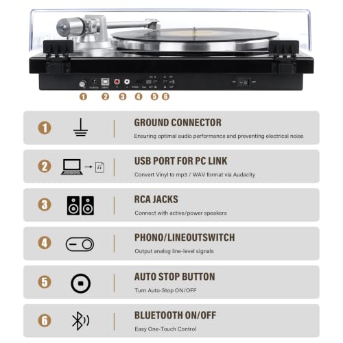 Image of Belt Drive Turntable for Vinyl Record Player and Bluetooth Output Control | No Built-in Speakers,Magnetic Cartridge,Built-in Phono Preamp,USB Digital Output,33 /45 RPM,High-Gloss Wood Design