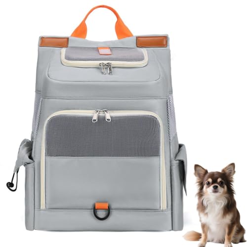 Lifetips`iChihuahuajybgbN L[ ʋCbV J[et y ˃e[v яoh~ h  @\ bN^ybgL[ ^ ^ L s ʉ@ ] d [|Pbgt ܂肽 g