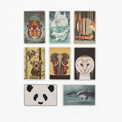 Wild Animals of the World: 50 Postcards - Image 6