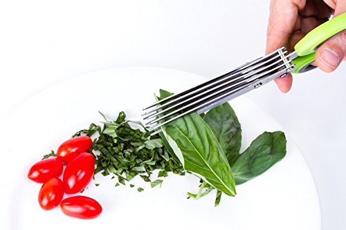 Herb Scissors - 5 Blades 304 Stainless Steel Herbs Scissors - Kitchen Shears with Cleaning Comb - Fast & Easy to Clean, Packed in a Premium Gift Box