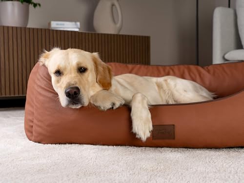 TrendPet Runa, Orthopädisches Kunstlederbett für Hunde, modisch in Kupfer und Grau (Kupfer, 100x75x30 cm)