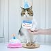 Imagen de Wisebom Cumpleaños Perro Juego de Gorro