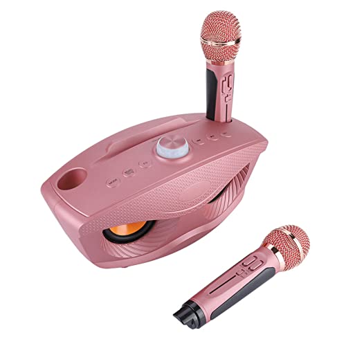 HWGING Altavoz Karaoke 32×20×16, Altavoz Inalámbrico, Karaoke, Hogar, 2 Micrófonos, Radio FM, Oro Rosa