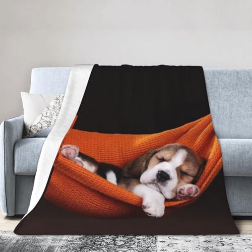   3 uPbg ѕz ѕz tl ӂӂ _炩 ΍ Ódh~ R hL g  lGʗp 100cm×125cm